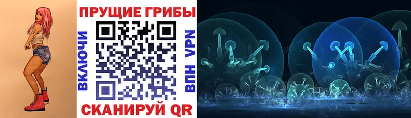 Галлюциногенные грибы Psilocybe  даркнет сайт  Тарко-Сале 